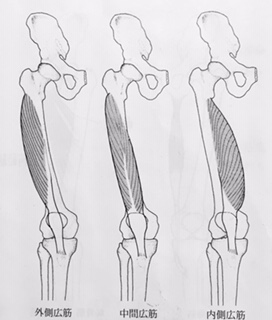 整体ストレッチ　大腿四頭筋６