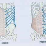 整体ストレッチ　腹斜筋１