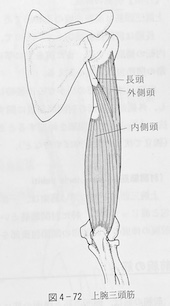 整体ストレッチ（上腕三頭筋）１