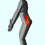 整体ストレッチ　腸腰筋１