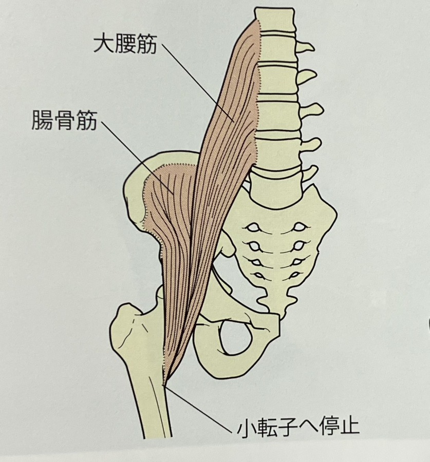 草津　ジャンプ  股関節ストレッチ１５