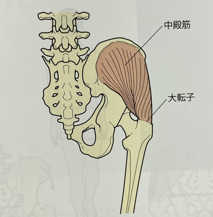 草津　ジャンプ 股関節ストレッチ３